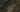 A_GR0054-1.webp