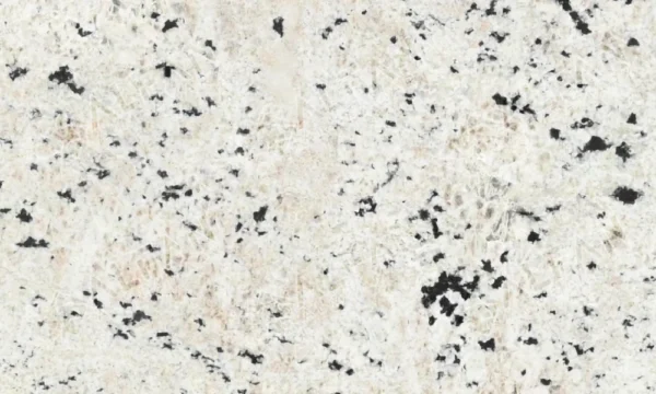 Colonia White