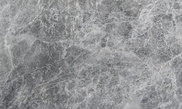 Spider Grey B
