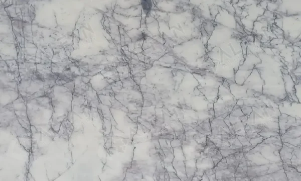 Lilac white B