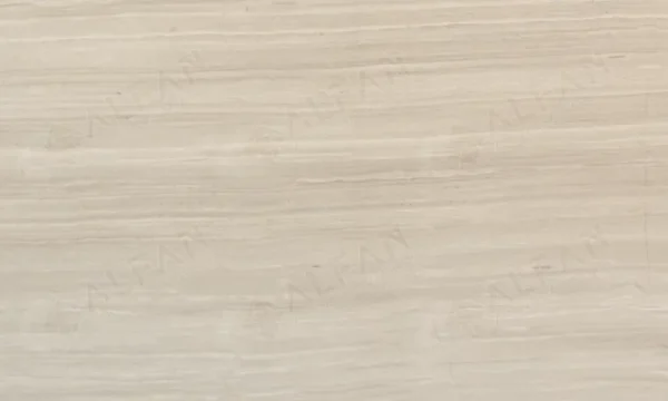 White Wood B