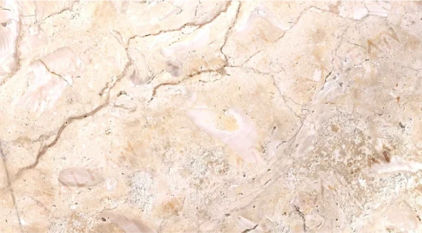 Saudi Seashell Stone