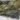 B_GR0054-1.webp