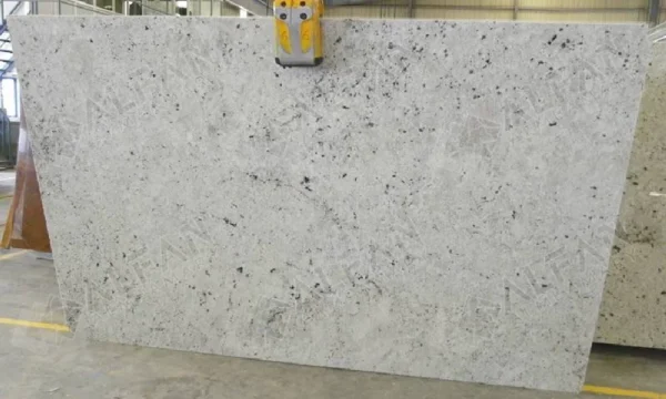 Colonia White - Image 2