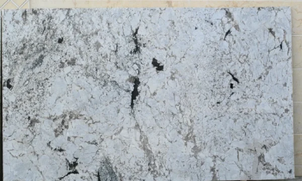 Latinum White - Image 2